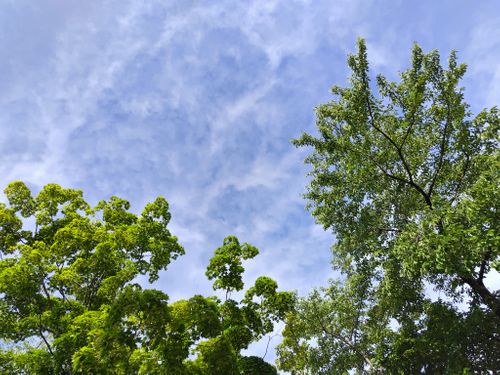 広々貸切キャンプ⛺️ 大和川森林公園高ノ峰プラトー ファミリーキャンプ フリーサイト セツさんのキャンプブログ CAMPiii（キャンピー） -キャンプ専用SNS キャンプのすべてがここに集まる-