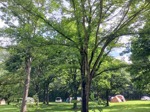 【Day8】北海道Ｃ△ｍｐ旅’  in 胆振・室蘭 RVパーク室蘭 ZEKKEI BASE CAMP ファミリーキャンプ オートサイト キャンピングカー vios outdoor'sさんのキャンプブログ CAMPiii（キャンピー） -キャンプ専用SNS キャンプのすべてがここに集まる-