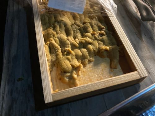 これはキャンプ...？？ 青海島 ファミリーキャンプ masaさんのキャンプブログ CAMPiii（キャンピー） -キャンプ専用SNS キャンプのすべてがここに集まる-