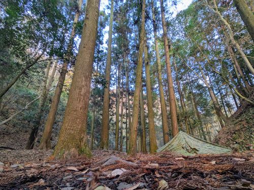 やはり自然には勝てないよね〜 大阪府 ソロキャンプ フリーサイト ぞのさんさんのキャンプブログ CAMPiii（キャンピー） -キャンプ専用SNS キャンプのすべてがここに集まる-