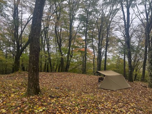 pica表富士2025シーズン終了 PICA表富士 ソロキャンプ グループキャンプ フリーサイト まっつんさんのキャンプブログ CAMPiii（キャンピー） -キャンプ専用SNS キャンプのすべてがここに集まる-