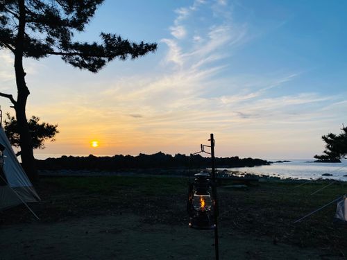 春キャン🌸🏕 グループキャンプ フリーサイト ねこ🐈&zwj;⬛さんのキャンプブログ CAMPiii（キャンピー） -キャンプ専用SNS キャンプのすべてがここに集まる-