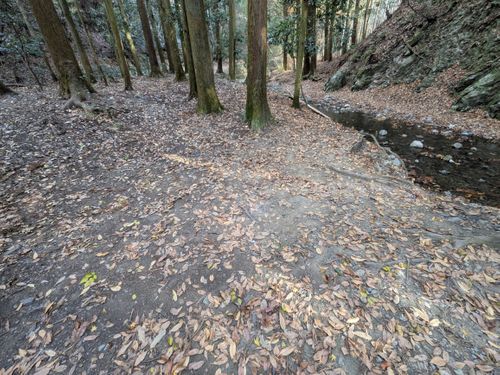 イチゴとイナゴとイチゴイチエ。 大阪府 ソロキャンプ オートサイト ぞのさんさんのキャンプブログ CAMPiii（キャンピー） -キャンプ専用SNS キャンプのすべてがここに集まる-