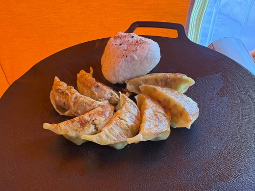 2025最後の旅する古本屋〜紫微輝く森の片隅で〜 紫星の森 ソロキャンプ フリーサイト ぱぱちょさんのキャンプブログ CAMPiii（キャンピー） -キャンプ専用SNS キャンプのすべてがここに集まる-