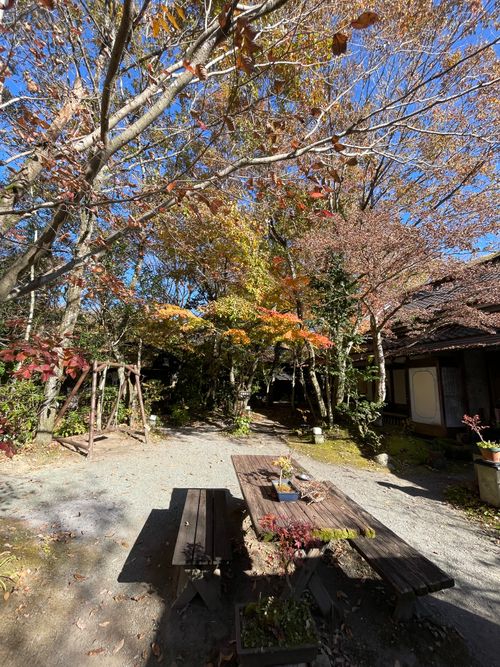 九州遠征2泊目 9.BASE ソロキャンプ 区画サイト ゆうさんさんのキャンプブログ CAMPiii（キャンピー） -キャンプ専用SNS キャンプのすべてがここに集まる-