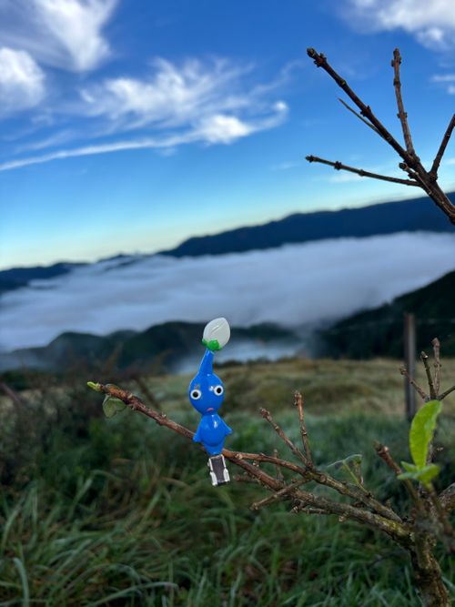 CAMPiii（キャンピー） とのさんのキャンプブログ お尻がロケット🚀宇宙旅行は一晩にしてならず 姫鶴平キャンプ場