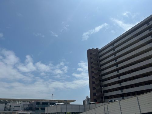 新緑キャンプ🏕 椿荘オートキャンプ場 ソロキャンプ 区画サイト Genさんのキャンプブログ CAMPiii（キャンピー） -キャンプ専用SNS キャンプのすべてがここに集まる-