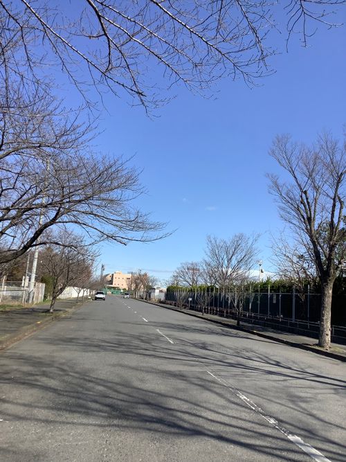 Vol.112 26/NO.02 お肉焼きに久しぶりに行く‼️ 坂戸市 ソロキャンプ フリーサイト 🔥焚き火🔥さんのキャンプブログ CAMPiii（キャンピー） -キャンプ専用SNS キャンプのすべてがここに集まる-