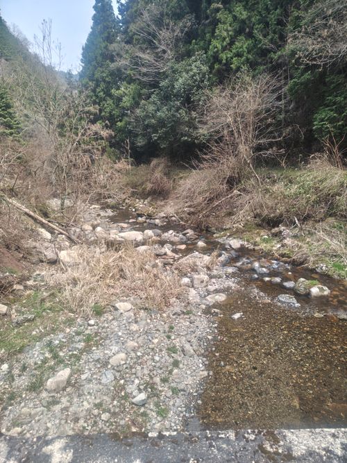 毎年恒例釣りキャンプ 広島市 ファミリーキャンプ フリーサイト HARUMAGEDONさんのキャンプブログ CAMPiii（キャンピー） -キャンプ専用SNS キャンプのすべてがここに集まる-