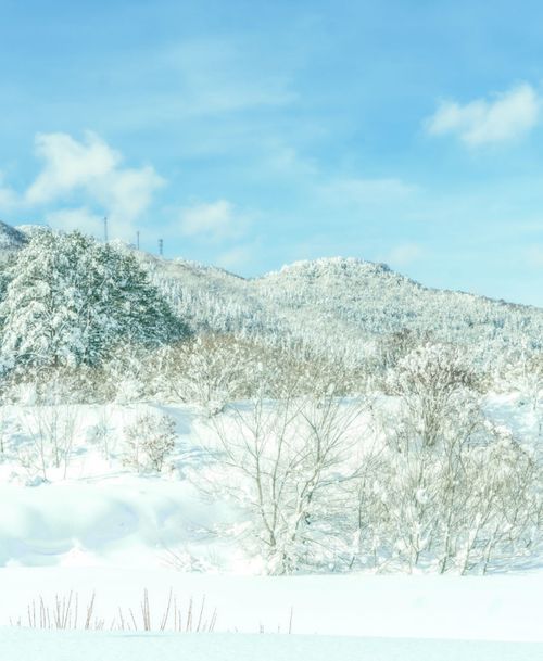 念願の雪中⛄️おじおばうさキャン△ in 板木まきばの里キャンプ場 〜 CAMP NO.173 小板まきばの里キャンプ場 ファミリーキャンプ グループキャンプ 区画サイト おじキャン△さんのキャンプブログ CAMPiii（キャンピー） -キャンプ専用SNS キャンプのすべてがここに集まる-