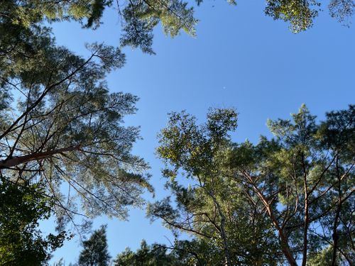 貸し切りすぎ、気持ち良すぎ、カメムシいすぎ North Village Hirugano - Camping Fields ファミリーキャンプ オートサイト 区画サイト りょっちーさんのキャンプブログ CAMPiii（キャンピー） -キャンプ専用SNS キャンプのすべてがここに集まる-