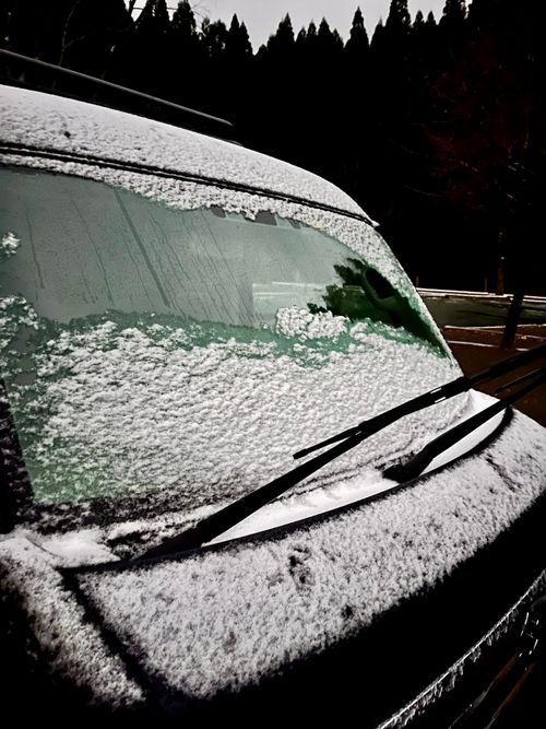 2025.12.14〜15 山鳥の森オートキャンプ場 akemi.09.02さんのキャンプブログ CAMPiii（キャンピー） -キャンプ専用SNS キャンプのすべてがここに集まる-