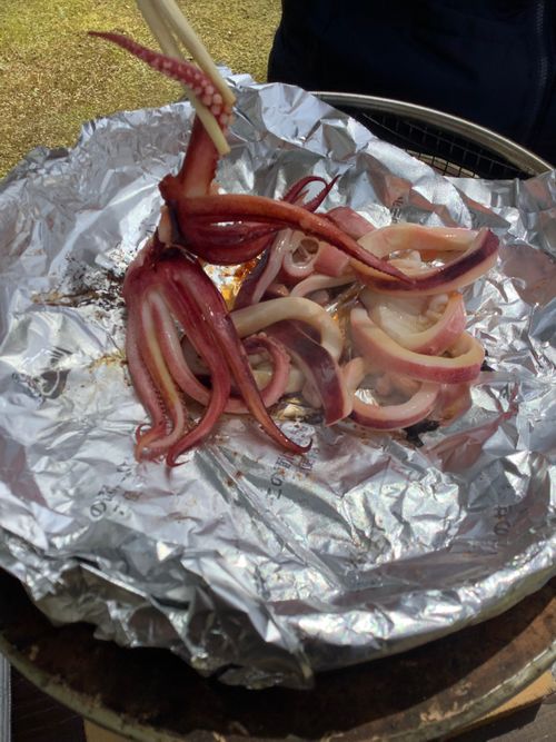 Vol.115 26/NO.05 今年も早速再開初日にお肉焼き焼きに行く‼️ 笛吹小屋キャンプ場 ソロキャンプ 区画サイト 🔥焚き火🔥さんのキャンプブログ CAMPiii（キャンピー） -キャンプ専用SNS キャンプのすべてがここに集まる-