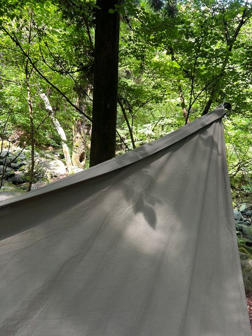 新緑キャンプ🏕 椿荘オートキャンプ場 ソロキャンプ 区画サイト Genさんのキャンプブログ CAMPiii（キャンピー） -キャンプ専用SNS キャンプのすべてがここに集まる-