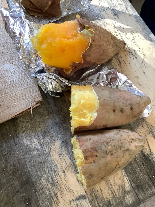 Vol.105 25/NO.24 笛吹小屋キャンプ場〜中津峡〜〆ホルモン屋‼️ 笛吹小屋キャンプ場 ソロキャンプ 区画サイト 🔥焚き火🔥さんのキャンプブログ CAMPiii(キャンピー) -キャンプ専用SNS キャンプのすべてがここに集まる-