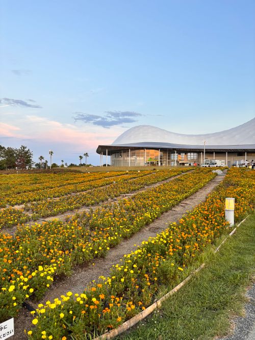 CAMP DE WILD BUNCH FEST.25 山口きらら博記念公園 グループキャンプ フリーサイト あやぴーさんのキャンプブログ CAMPiii(キャンピー) -キャンプ専用SNS キャンプのすべてがここに集まる-