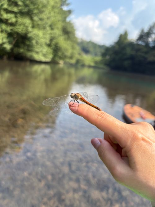 あぁ、これが私のsupかも〜夏のくつろぎ 四万湖(中之条ダム)駐車場 ぷりんさんのキャンプブログ CAMPiii(キャンピー) -キャンプ専用SNS キャンプのすべてがここに集まる-