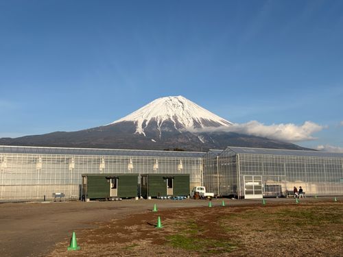 CAMPiii（キャンピー） うぃるさんのキャンプブログ 富士高原トマトフィールドにて 富士高原トマトフィールド