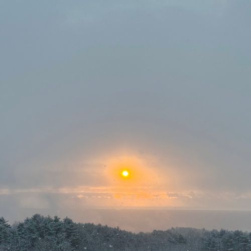 年末は手巻き🍣 IZUMI PEAK BASE （泉ピークベース） ファミリーキャンプ オートサイト 区画サイト トリッディさんのキャンプブログ CAMPiii（キャンピー） -キャンプ専用SNS キャンプのすべてがここに集まる-