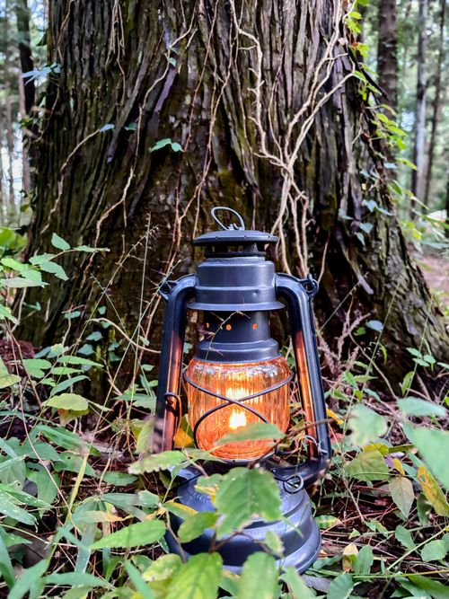 🌲森林サイトで癒される &GREEN龍ケ崎キャンプ場 ソロキャンプ フリーサイト オートサイト ARUGOさんのキャンプブログ CAMPiii(キャンピー) -キャンプ専用SNS キャンプのすべてがここに集まる-