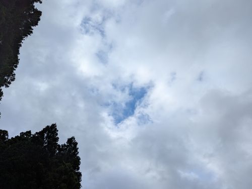 帰省からの戻りキャンツー旅② 鳳来の森 ソロキャンプ 区画サイト 週末スナフキンさんのキャンプブログ CAMPiii（キャンピー） -キャンプ専用SNS キャンプのすべてがここに集まる-