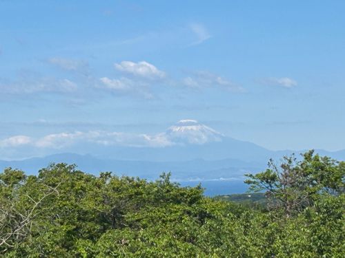 CAMPiii（キャンピー） Genさんのキャンプブログ 前日宅呑み中🍺思いたっての低山ハイク🥾 大楠山