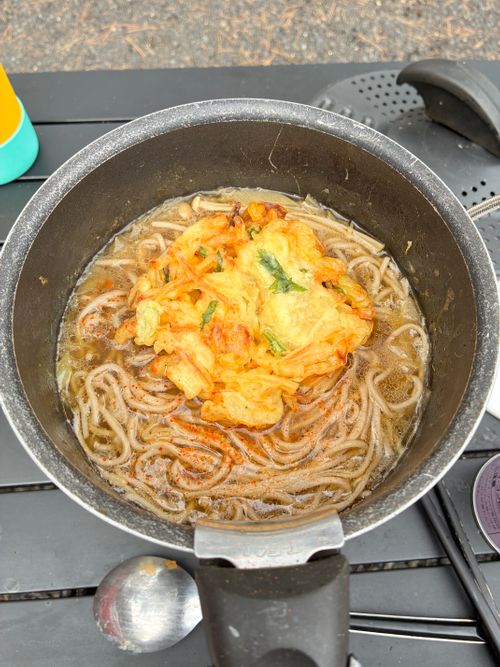 鹿いた！サウナの日、WBC満喫！ PICA富士西湖 ソロキャンプ オートサイト アクセルさんのキャンプブログ CAMPiii（キャンピー） -キャンプ専用SNS キャンプのすべてがここに集まる-