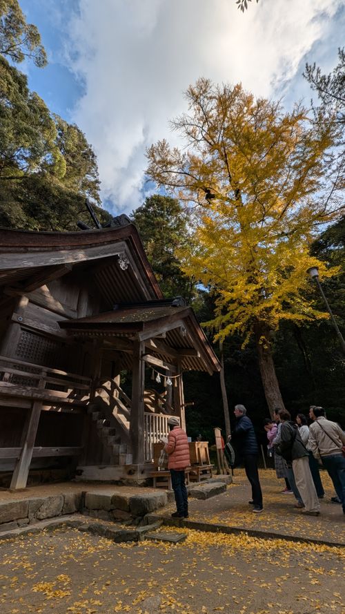 中国地方遠征キャンプ🏕️島根編 うさぎ森林公園 夢の森うさぎ ソロキャンプ 区画サイト オートサイト ヒゲキャンさんのキャンプブログ CAMPiii（キャンピー） -キャンプ専用SNS キャンプのすべてがここに集まる-