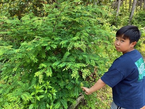 マツケンさん一家との自然いっぱいキャンプ てゆりキャンプ場 グループキャンプ 区画サイト りょっちーさんのキャンプブログ CAMPiii（キャンピー） -キャンプ専用SNS キャンプのすべてがここに集まる-