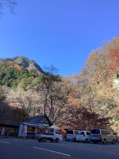 CAMPiii（キャンピー） 🔥焚き火🔥さんのキャンプブログ Vol.107 25/NO.26　何となく中津峡に行く‼️ 中津峡