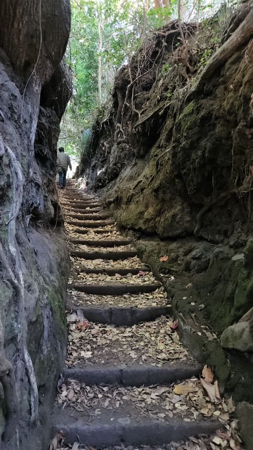 その後 日本 ソロキャンプ グループキャンプ 区画サイト フリーサイト オートサイト IZUIZUさんのキャンプブログ CAMPiii（キャンピー） -キャンプ専用SNS キャンプのすべてがここに集まる-