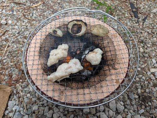 109回目のキャンプも庭キャンプだった ソロキャンプ フリーサイト サイババ-SBBcampさんのキャンプブログ CAMPiii（キャンピー） -キャンプ専用SNS キャンプのすべてがここに集まる-