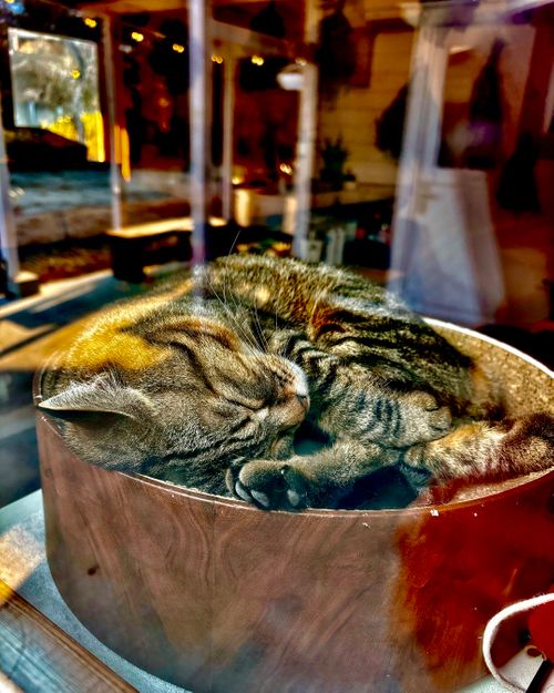 自然と一体！サウナと小川で「ととのう」贅沢時間 OUSE Camp＆Sauna TUULI（トゥーリ） Oniyomeさんのキャンプブログ CAMPiii（キャンピー） -キャンプ専用SNS キャンプのすべてがここに集まる-