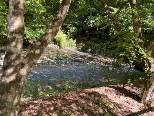 ほうれんぼうの森🌳 東部森林公園 ほうれんぼうの森キャンプ場 ソロキャンプ オートサイト 区画サイト ぺちゃさんのキャンプブログ CAMPiii（キャンピー） -キャンプ専用SNS キャンプのすべてがここに集まる-
