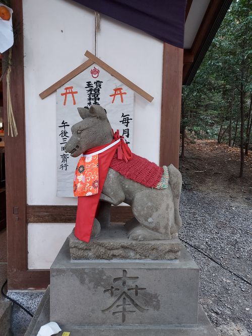 明けましておめでとうございます🎍年越しで狼さんに会いに行ったけどちとヘコんだキャンプ⛺ フォレストサンズ長瀞 ソロキャンプ 区画サイト ひろ16さんのキャンプブログ CAMPiii（キャンピー） -キャンプ専用SNS キャンプのすべてがここに集まる-