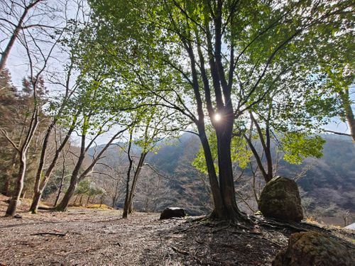 自分史上最重量級キャンプ。 兵庫県 ソロキャンプ フリーサイト ぞのさんさんのキャンプブログ CAMPiii（キャンピー） -キャンプ専用SNS キャンプのすべてがここに集まる-
