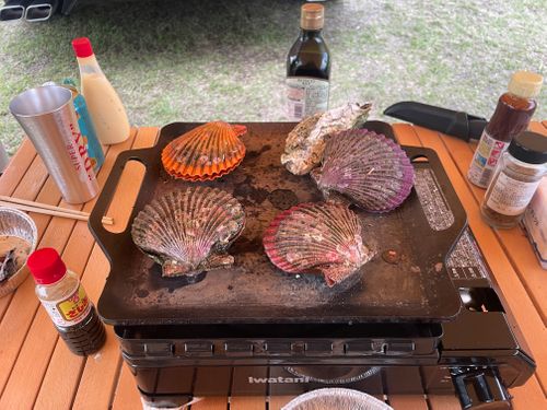 友人とグルャン グループキャンプ フリーサイト Shinさんのキャンプブログ CAMPiii（キャンピー） -キャンプ専用SNS キャンプのすべてがここに集まる-