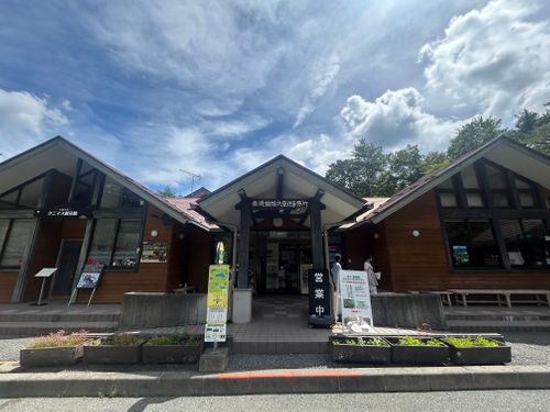 早朝SUP & 樹海ハイク🥾  本栖湖いこいの森キャンプ場 ソロキャンプ グループキャンプ 区画サイト Genさんのキャンプブログ CAMPiii（キャンピー） -キャンプ専用SNS キャンプのすべてがここに集まる-
