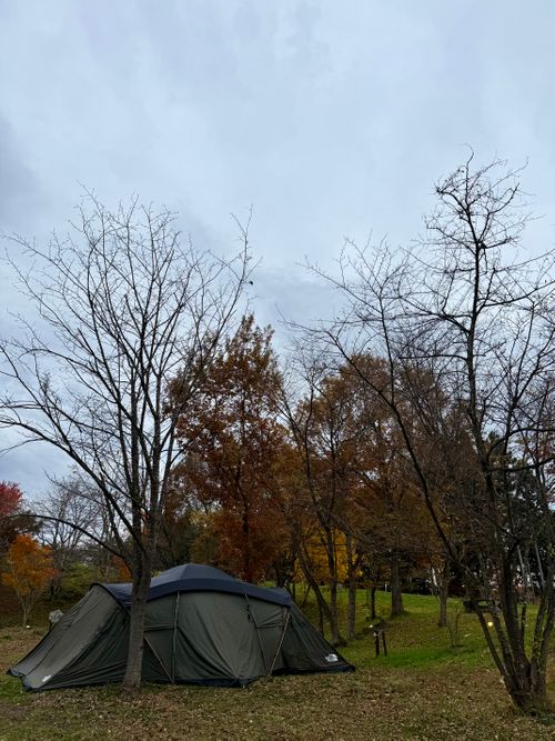 CAMPiii(キャンピー) トリッディさんのキャンプブログ 紅葉、グルキャン ザ キャンパス~トロイカの森~