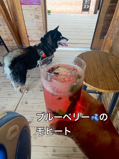 初めてのボッチサイト ほったらかしキャンプ場 ソロキャンプ 区画サイト OYAKATAさんのキャンプブログ CAMPiii（キャンピー） -キャンプ専用SNS キャンプのすべてがここに集まる-