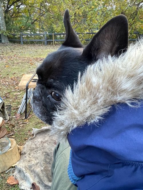 CAMPiii(キャンピー) ロコCamp0828さんのキャンプブログ 今シーズン最後のキャンプ エコキャンプみちのく