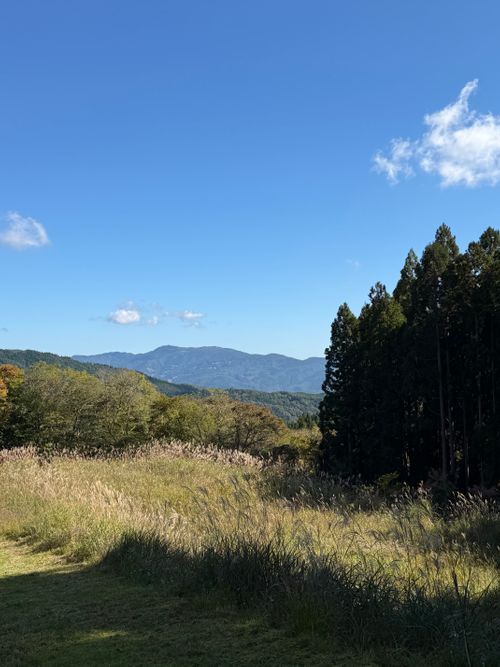 テントの日　サーカスの会　vol.2 グリーンパークハチ北 グループキャンプ 区画サイト あやぴーさんのキャンプブログ CAMPiii（キャンピー） -キャンプ専用SNS キャンプのすべてがここに集まる-