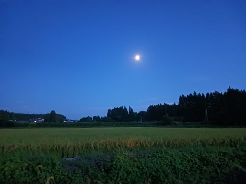 CAMPiii（キャンピー） vios outdoor'sさんのキャンプブログ キャンプ車修理&Ｃ△ｍｐ旅’2025 to 秋田・横手【Day3】 道の駅 庄内みかわいろり火の里