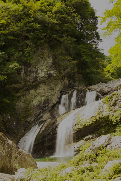 降水確率0％なのに雨！それでも石鎚山へ 自然王国白滝の里キャンプ場 ソロキャンプ フリーサイト yoshiさんのキャンプブログ CAMPiii（キャンピー） -キャンプ専用SNS キャンプのすべてがここに集まる-