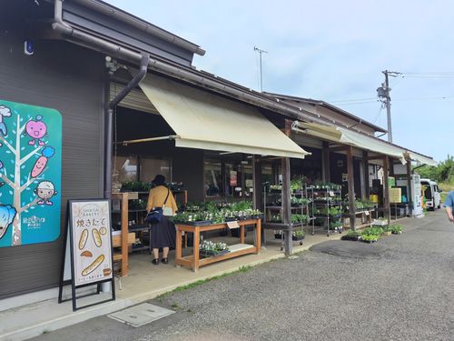 森林キャンプ⛺️ ファミリーキャンプ オートサイト 区画サイト セツさんのキャンプブログ CAMPiii（キャンピー） -キャンプ専用SNS キャンプのすべてがここに集まる-