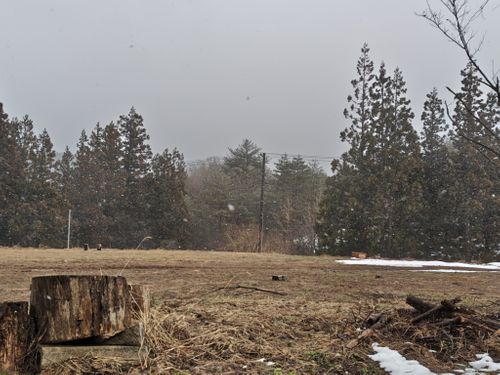 2026初キャンプ かんたファームワイルドキャンプ場 ソロキャンプ フリーサイト オートサイト けい＠福島県さんのキャンプブログ CAMPiii（キャンピー） -キャンプ専用SNS キャンプのすべてがここに集まる-