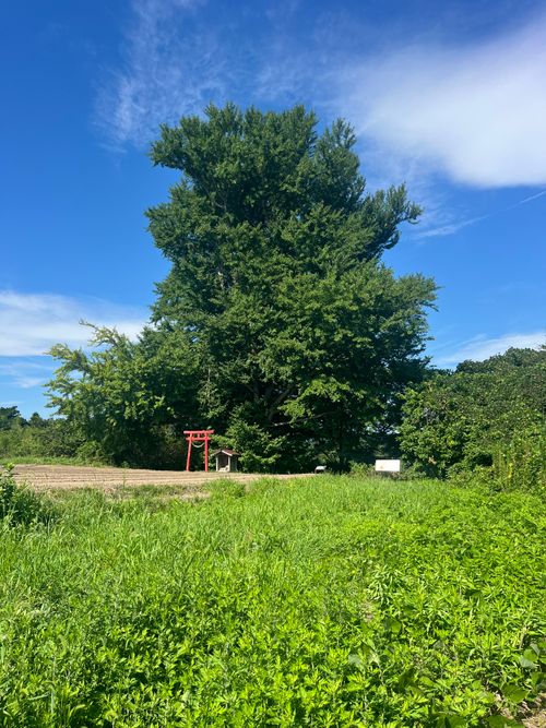みちのく潮風トレイル 福島 相馬編 貸し切りができる小さなキャンプ場 beeto ソロキャンプ 区画サイト まっつんさんのキャンプブログ CAMPiii(キャンピー) -キャンプ専用SNS キャンプのすべてがここに集まる-