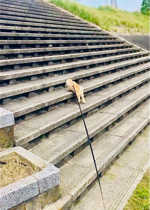 リベンジしなきゃ&hellip;やめられない、止まらない💦悪天候キャンパー天候(転向？)おじうさキャン△ in ゆうゆう広場 〜 CAMP NO.188 ゆうゆう広場 ソロキャンプ ファミリーキャンプ 区画サイト フリーサイト おじキャン△さんのキャンプブログ CAMPiii（キャンピー） -キャンプ専用SNS キャンプのすべてがここに集まる-