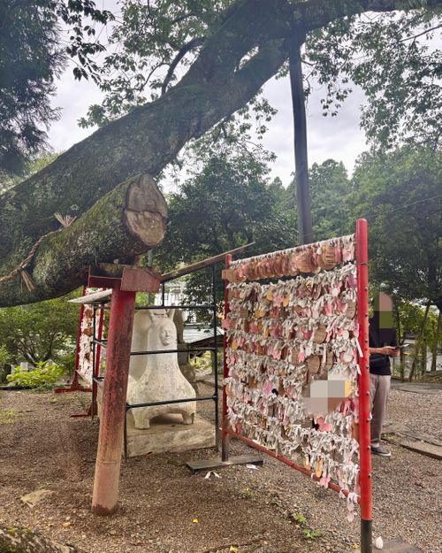 【番外編】2026お盆❗️乗っ取り犯と5日間戦争💣💥(💢'ー') 櫻田山神社 Oniyomeさんのキャンプブログ CAMPiii（キャンピー） -キャンプ専用SNS キャンプのすべてがここに集まる-
