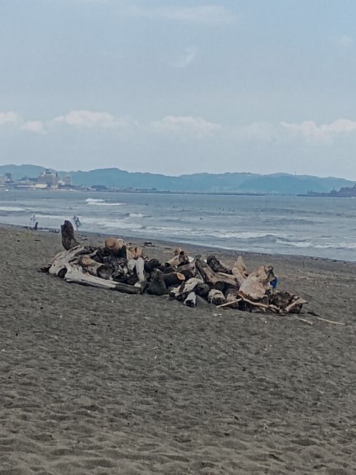 江の島リンリンRide 江の島 ソロキャンプ フリーサイト ウエィダーさんのキャンプブログ CAMPiii（キャンピー） -キャンプ専用SNS キャンプのすべてがここに集まる-